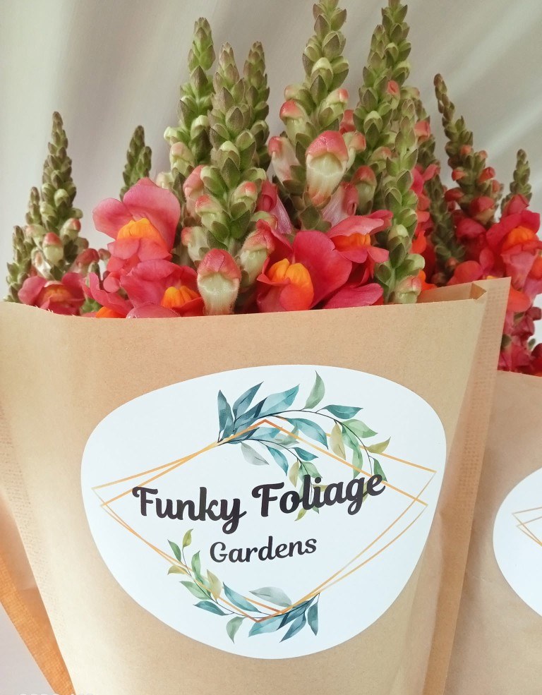 Snapdragons wrapped in Funky Foliage Gardens paper